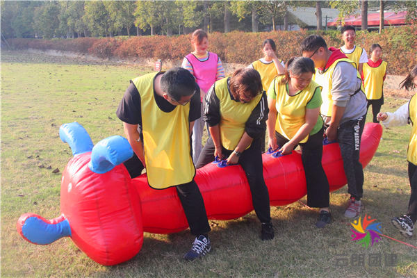 1571967684104687.jpg IMG_0248.JPG