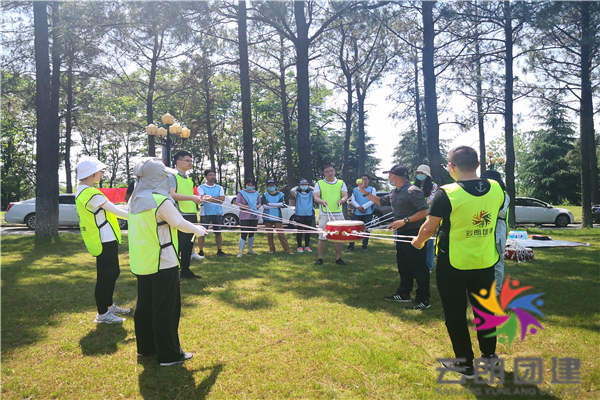 南京培训拓展公司——苏博咨询夏季团建活动
