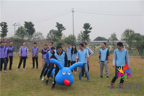 南京素质拓展训练——海思部门拓展培训活动 南京素质拓展训练——海思部门拓展培训活动